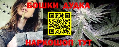 стаф Усть-Илимск