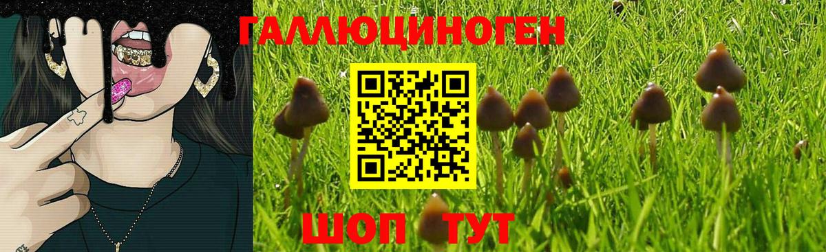Галлюциногенные грибы Cubensis  Псилоцибиновые грибы Magic Shrooms  цены наркотик  Северск  Вход с VPN 