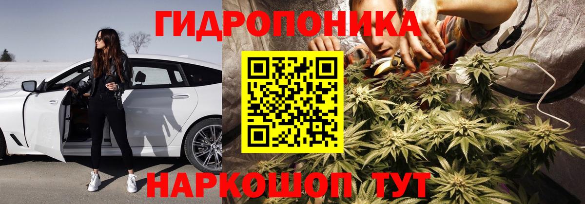 Конопля марихуана  Бошки Шишки марихуана  Вход с VPN  Бошки марихуана White Widow  Северск 
